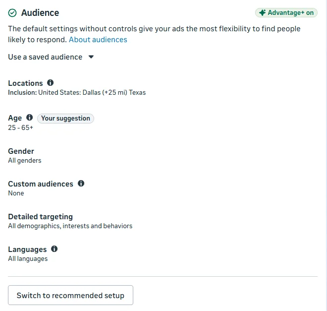 Ad set audience summary after switching to a specific audience, with a button to switch back to the recommended setup